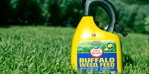 Bottle of weed and feed fertiliser