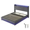 Levede Gas Lift Bed Frame with RGB LED Lights Storage Headboard USB Charging Queen Grey