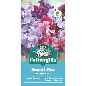 Fothergill's Sweet Pea Metaphor Mixed Flower Seeds