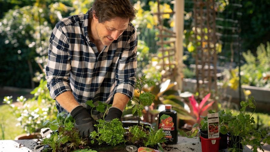 Man working with plants.