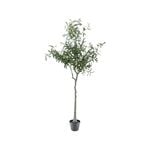 UN-REAL 170cm Artificial Olive Tree