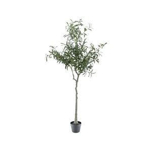 UN-REAL 170cm Artificial Olive Tree