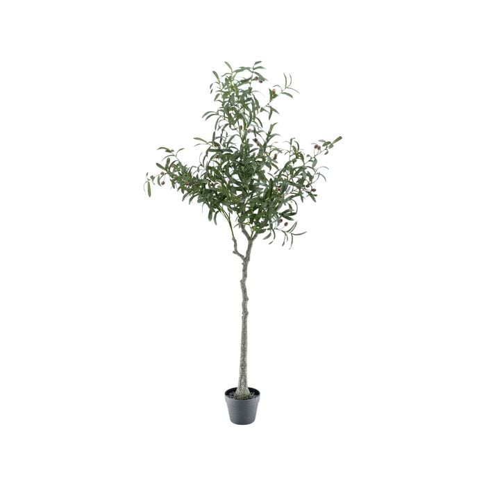 UN-REAL 170cm Artificial Olive Tree
