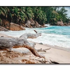 Rocks And Palm Trees Along  Print 100% Australian Made 120x90cm  (Poster)