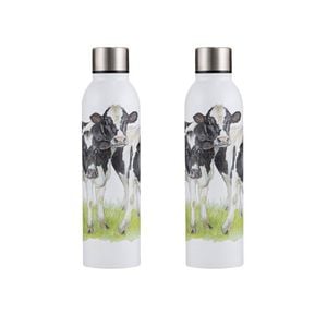 2PK Ashdene Meet The Girls Drinking Flask/Bottle Drinkware 6.8x25cm