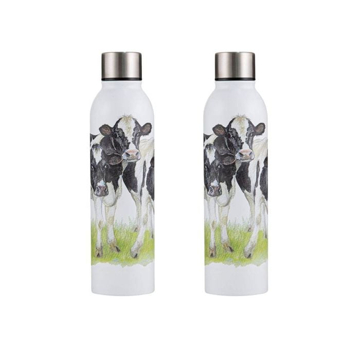 2PK Ashdene Meet The Girls Drinking Flask/Bottle Drinkware 6.8x25cm