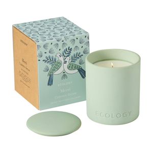 Ecology Merri Cypress Grove Scented Candle 320g Soy Ceramic Holder