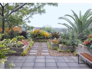 Outdoor area with pavers, retaining walls and plants.