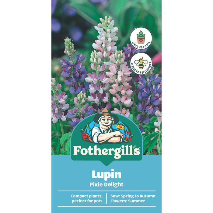 Fothergill's Lupin Pixie Delight Flower Seeds