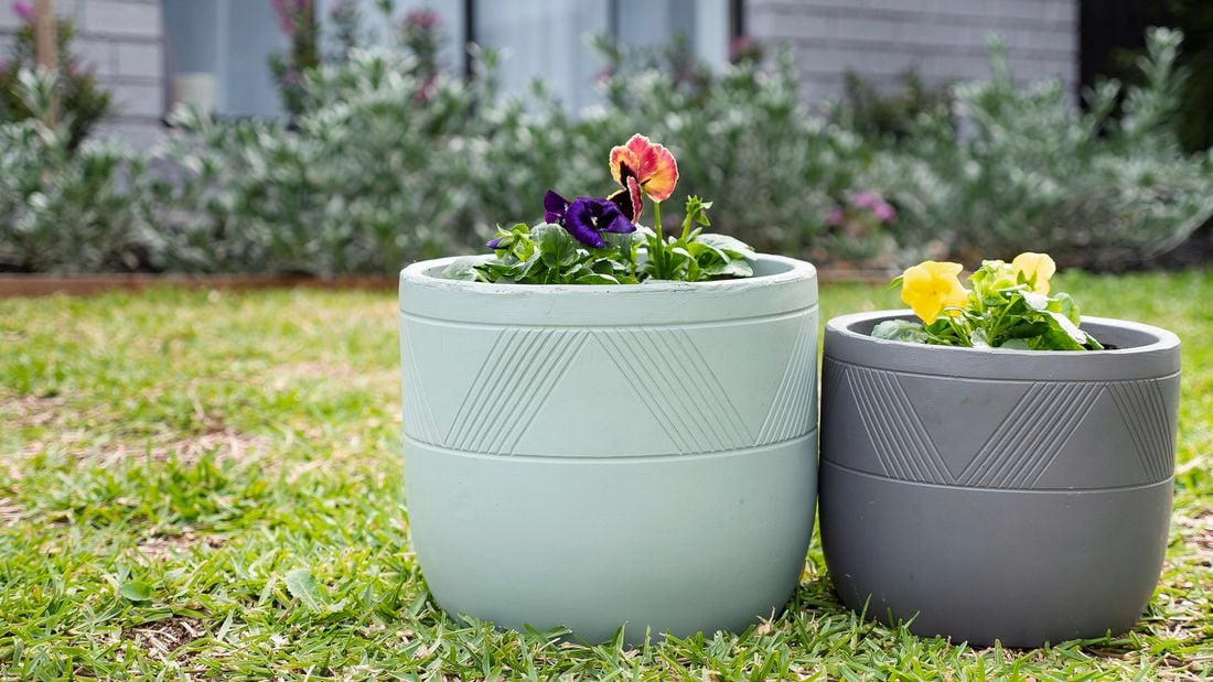 Two stylish plant pots holding bright flowers in a backyard