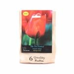 Yarra Valley Bulbs Tulip Ill De France - 6 Pack