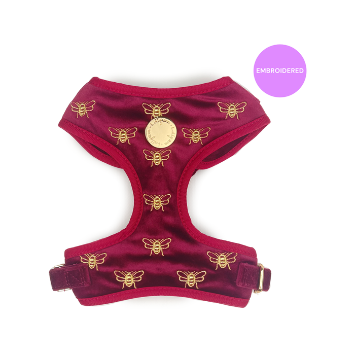 Holly & Co  Queen Bee Small Red Stylish Velvet Dog Harness