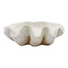 Decorative 53cm Resin Clam Shell/Trinket Tabletop Display Decor XL White/Beige