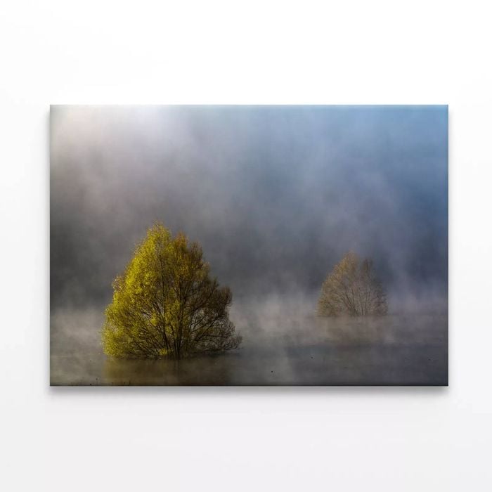 Fog during Autumn Floods  Print 100% Australian Made 150 x 100cm  (Stretched)