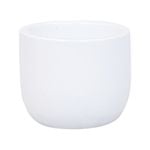 11 x 9cm White X Small Plain Ceramic Egg Pot - 110mm