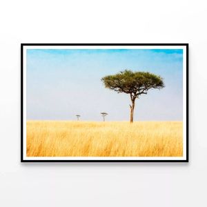 Trees in Grasslands of Kenya   Print 100% Australian Made 120x90cm  (Poster)