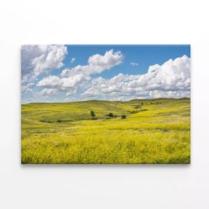 Field Of Flowers under a Sky  Print 100% Australian Made 75 x 50cm  (Stretched)
