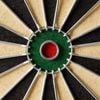 Club 500 Traditional Dartboard - One Size