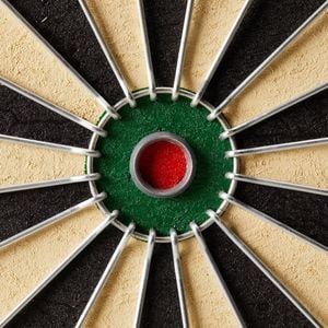 Club 500 Traditional Dartboard - One Size