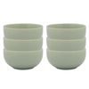 6PK Ecology Element 14cm Stoneware Noodle Bowl Round - Dew