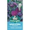 Fothergill's Splash Of Blue Flower Seeds
