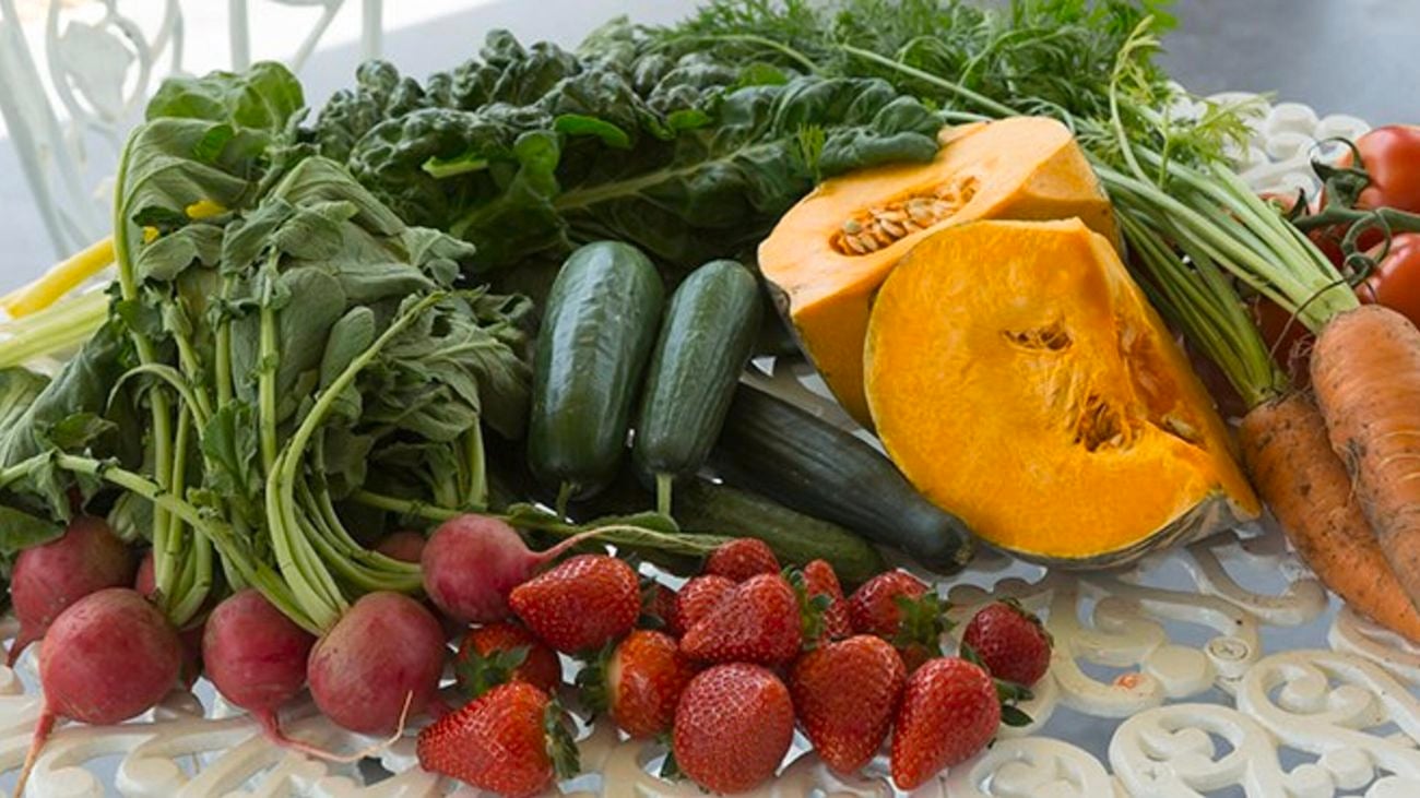 Harvested fruit and vegetables including strawberries and radishes.