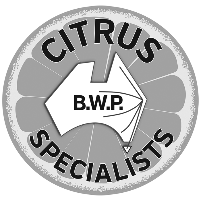BWP