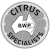 BWP