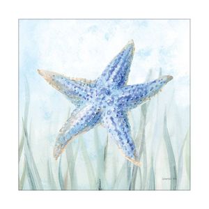 Artey | Undersea Starfish Seaweed - Stretched Canvas - Stretched Canvas - 64 x 64cm
