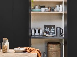 Organised pantry cupboard.