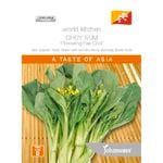 Johnsons Seed Choy Sum ‘Flowering Pak Choi’  World Kitchen