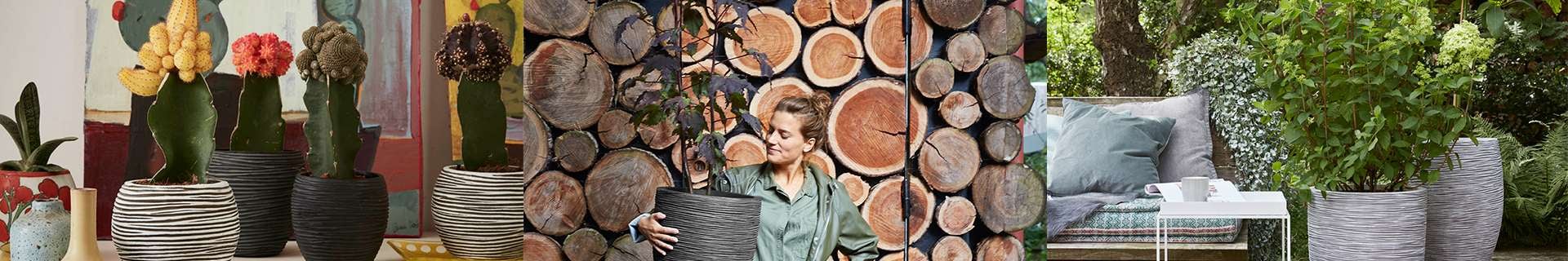 Woman holding plant pot. Assortment of cacti in small pots. Outdoor area with table, chair and plant.