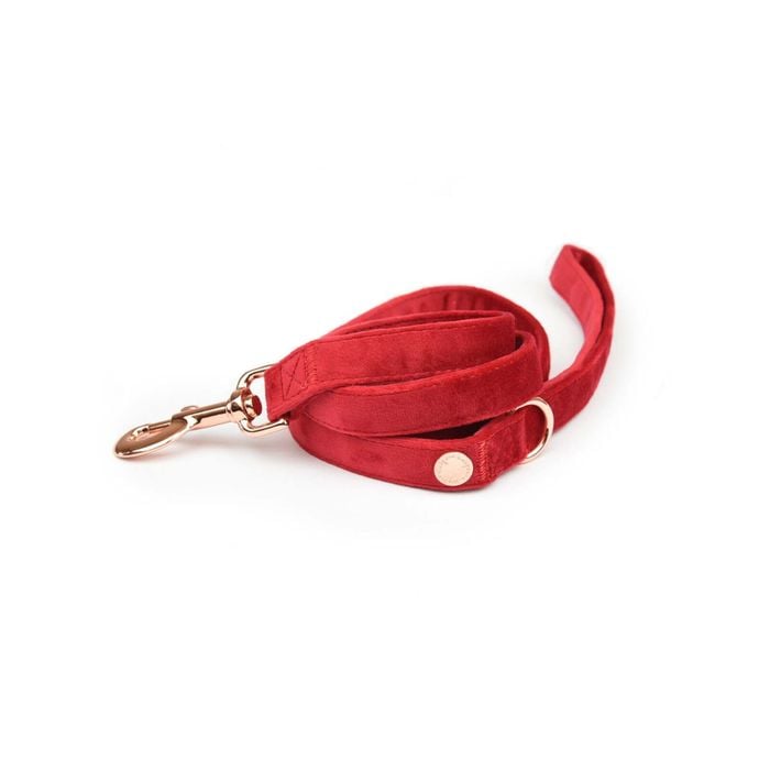 Holly & Co Lover Red 125cm Stylish Velvet Dog Lead / Leash