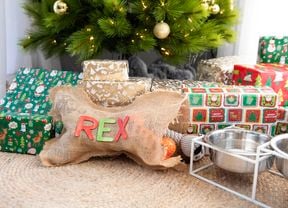 DIY Advice Image - How to make a dog santa sack. G Drive blob storage upload.