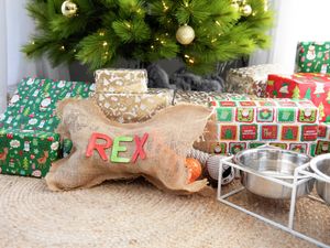DIY Advice Image - How to make a dog santa sack. G Drive blob storage upload.