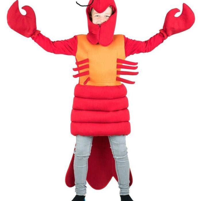 Novelty Red Lobster Kids Sea Creature Costume - One Size