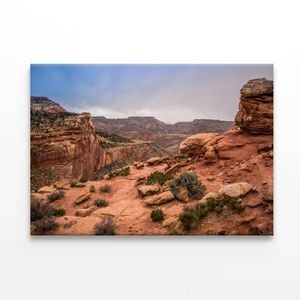 Rocks and Bushes with Mountains  Print 100% Australian Made 120 x 90cm  (Stretched)