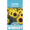 Mr Fothergill's Sunflower Dwarf Sunsation Flower Seeds