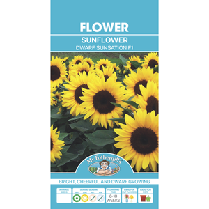 Mr Fothergill's Sunflower Dwarf Sunsation Flower Seeds