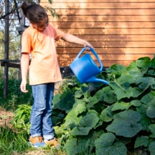 A small child watering a pumpkin patch