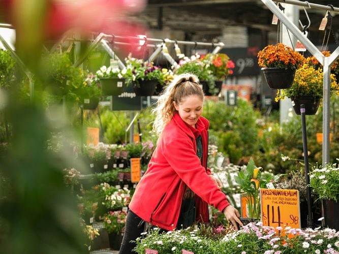 Shot of a female Team member who is in the nursery fixing a sign