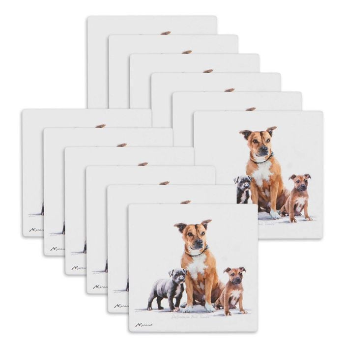 12PK Ashdene Puppy Love Staffy Terrier Ceramic Coaster Square 10x10cm