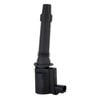 SWAN Ignition Coil for FPV F6 Typhoon F6X Force 6 4.0L Turbo
