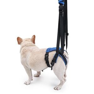 CottonMore Dog Rear Support Harness Lift Aid for Senior Dogs Hind Leg Mobility - XL