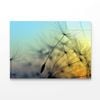 Golden Sunset & Dandelion  Print 100% Australian Made 90 x 60cm  (Acrylic)