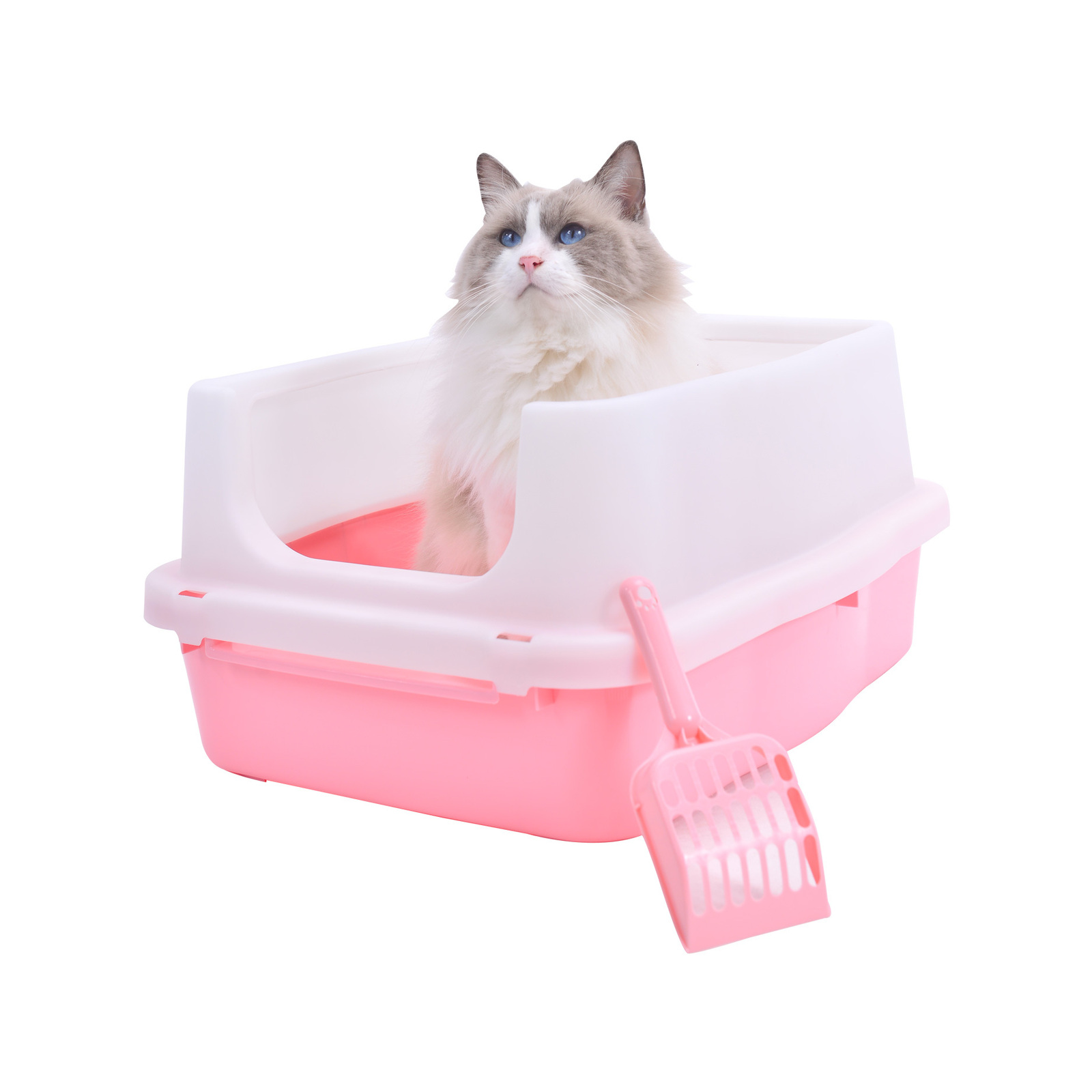 Cat litter tray bunnings best sale