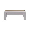 Coffee Table High Gloss Finish Lift Up Top MDF White Ash Colour Interior Storage