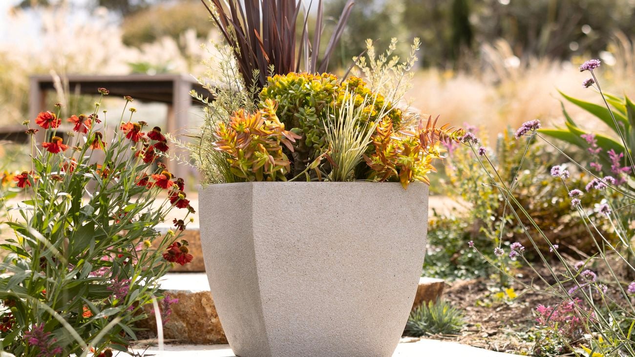 Tapered grey pot in a backyard planted with flowers