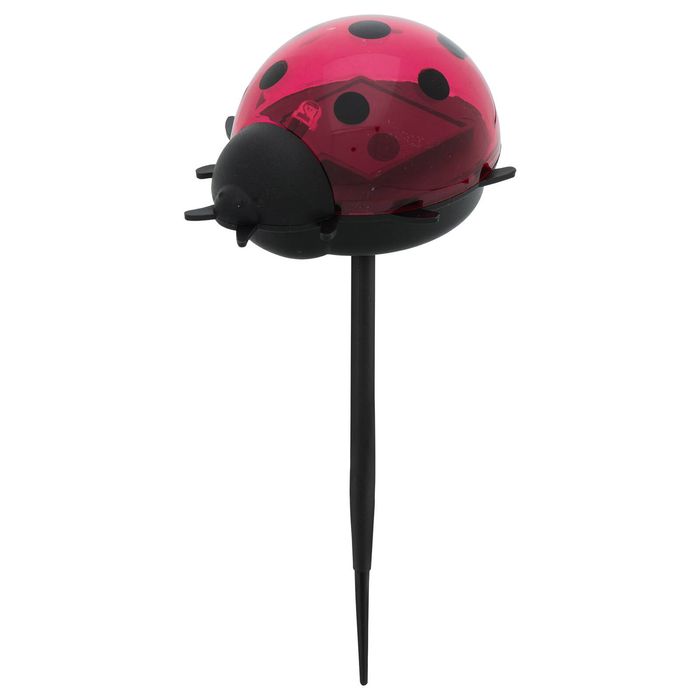 Click Solar Path Light - Ladybug