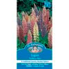 Mr Fothergill's Lupin Gallery Mix